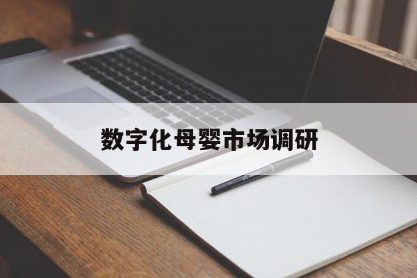 西安市数字化母婴市场调研(数字化母婴市场调研报告)